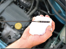 Oil Change/ Multi-Point Inspection